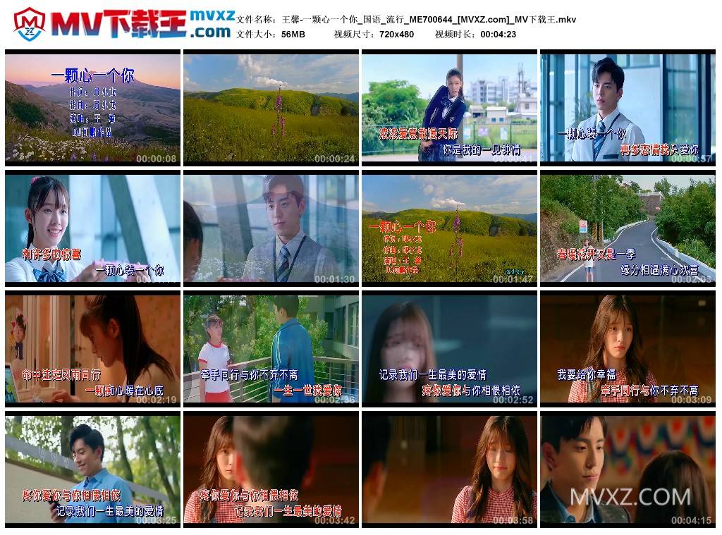 王馨-一颗心一个你_国语_流行_ME700644